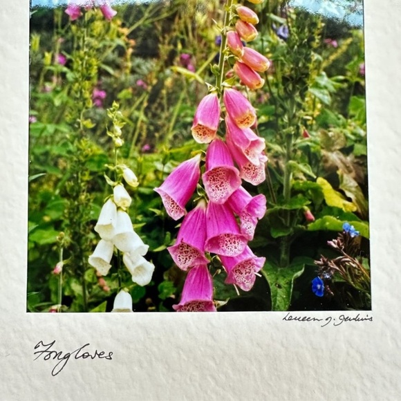 Wild Flower Stationary Card - Picture 12 of 16